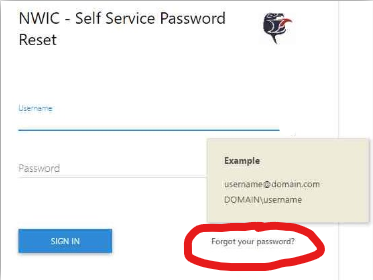 Forgot Password.png